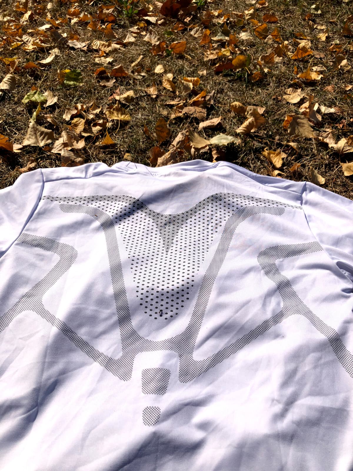 Remera Termica compresa